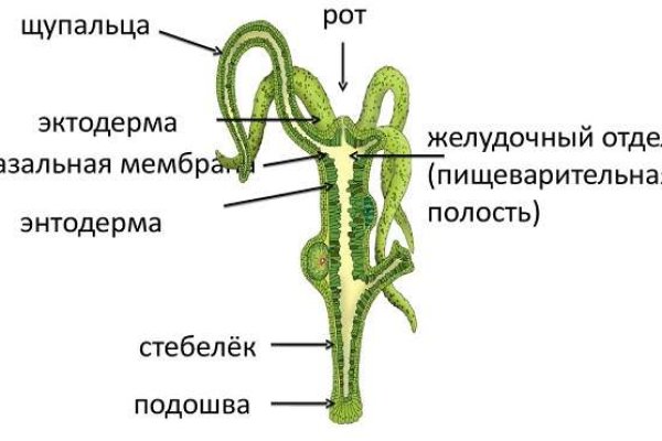 Кракен сбой
