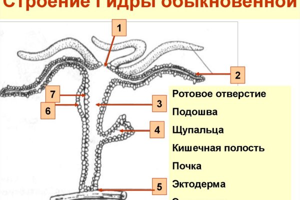 Кракен 2kraken biz