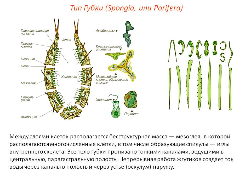 Официальный сайт кракен тор