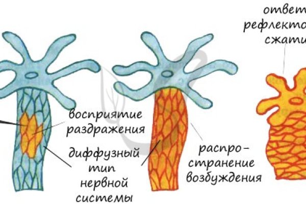 Кракен сбой